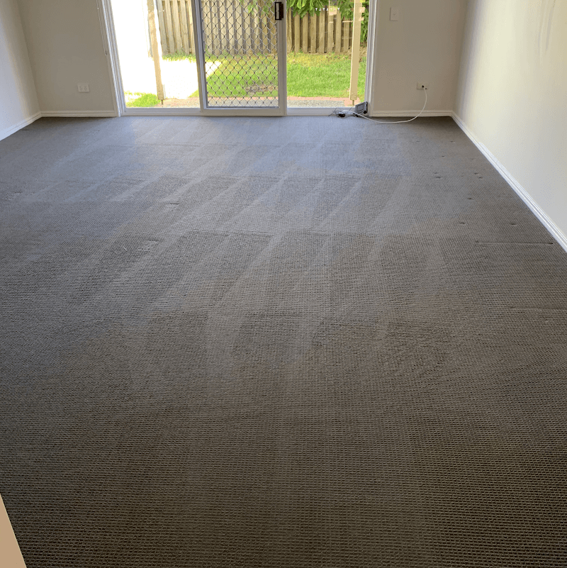 Steam and Dryclean | Carpet Cleaning Services - Broadbeach, QLD