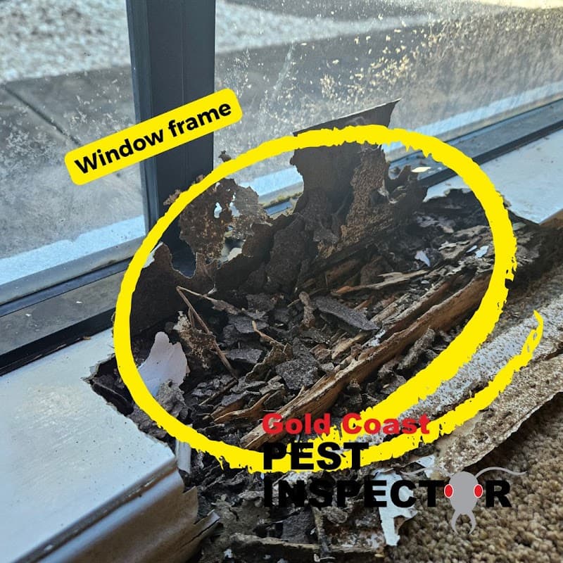 Gold Coast Pest Inspector - Pest Control in Robina, QLD
