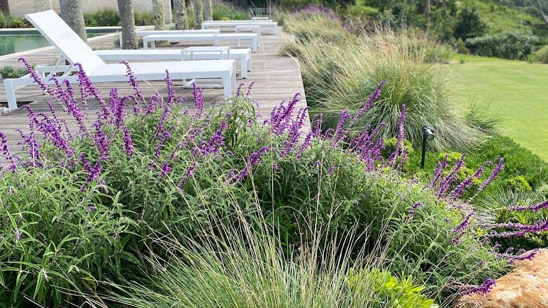 NEST Landscape Design - Gardeners in Bundall, QLD
