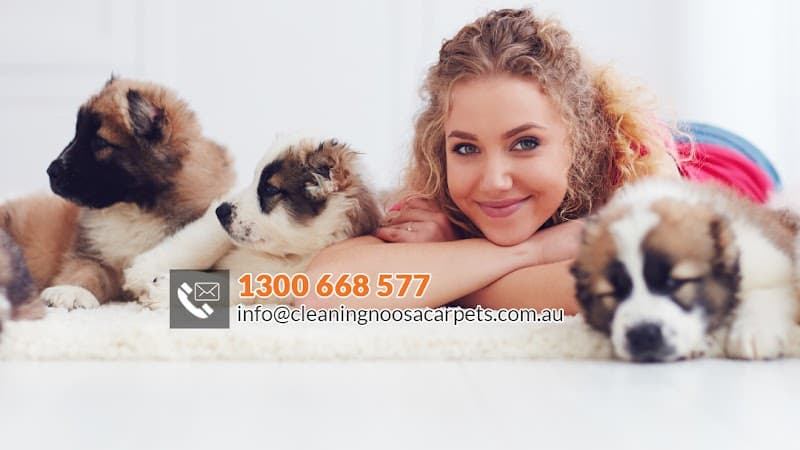 New Life Carpet Cleaning - Carpet Cleaners in Doonan, QLD
