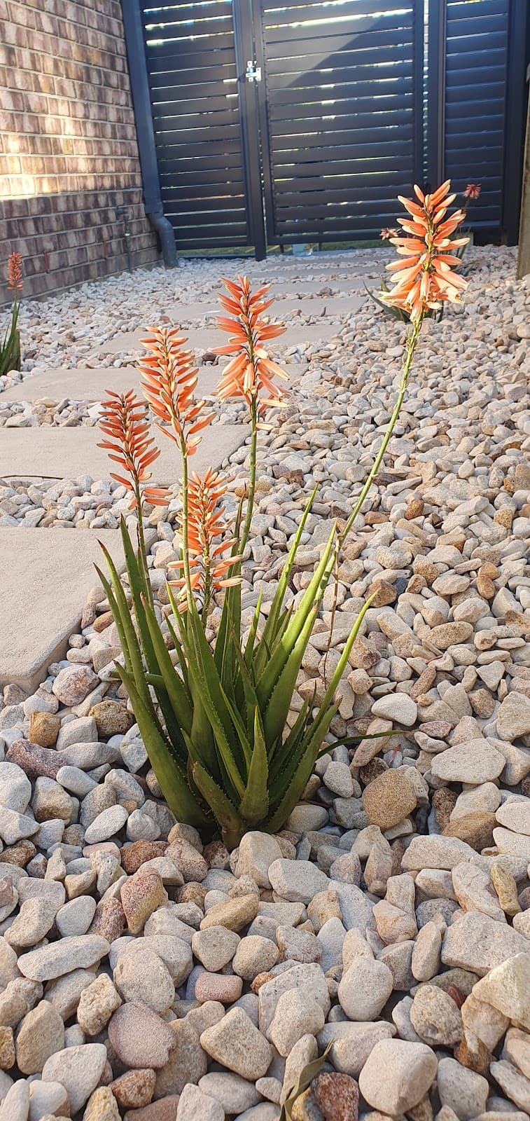 All Seasons Landscaping