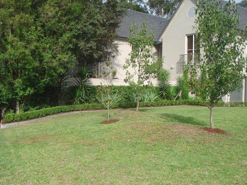 David Wilson Gardening and Property Services