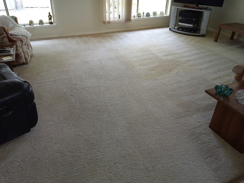 Treetops Carpet Cleaning - Carpet Cleaners in Palmwoods, QLD