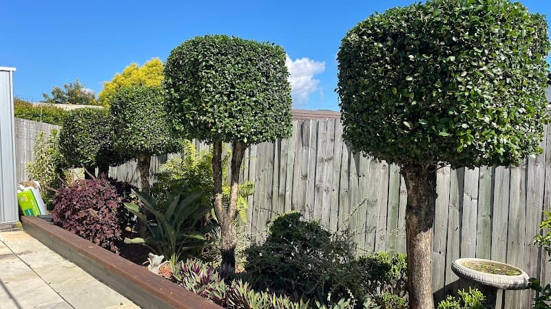 My Greenfinger QLD - Gardeners in Ormeau, QLD