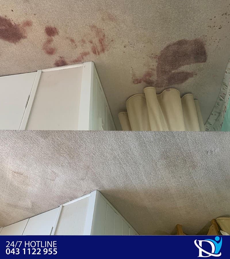 D&D Clean Solutions Pty Ltd