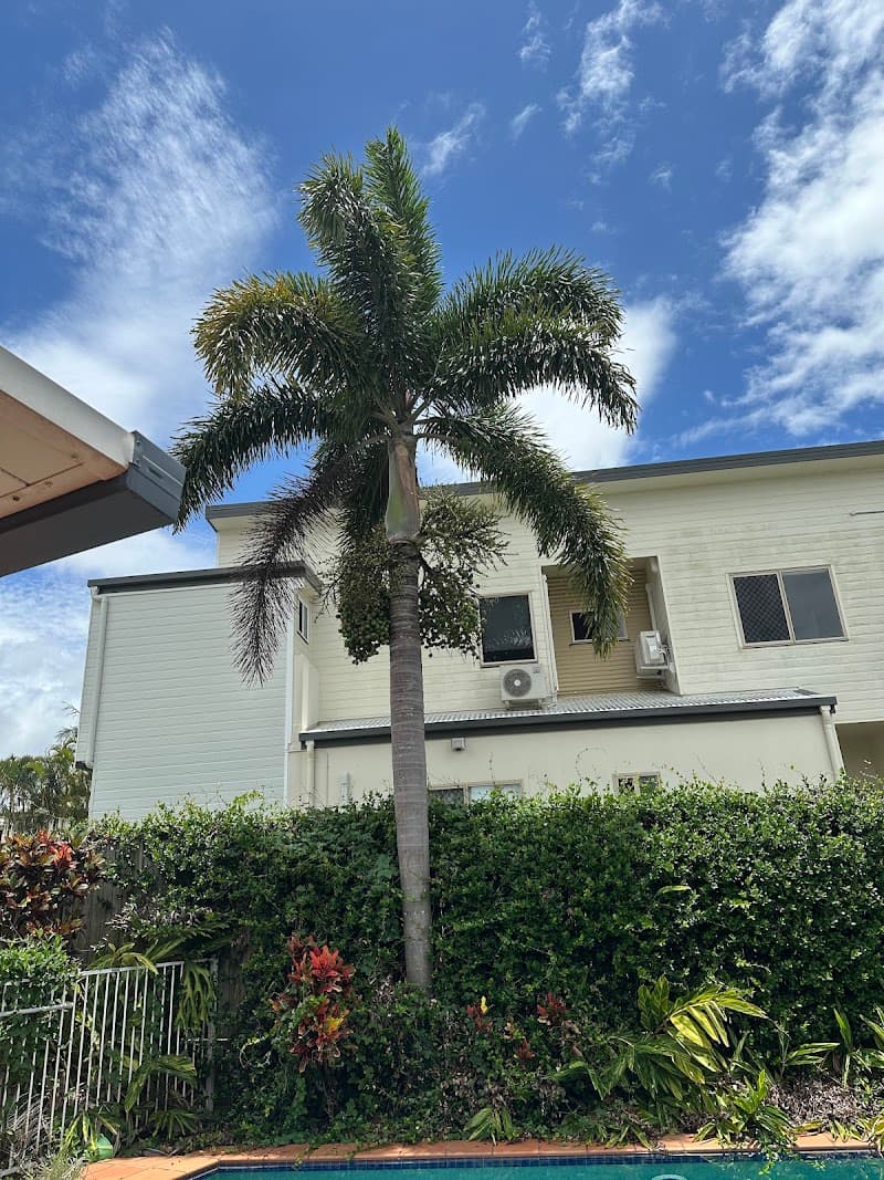 Neil's Tree Experts