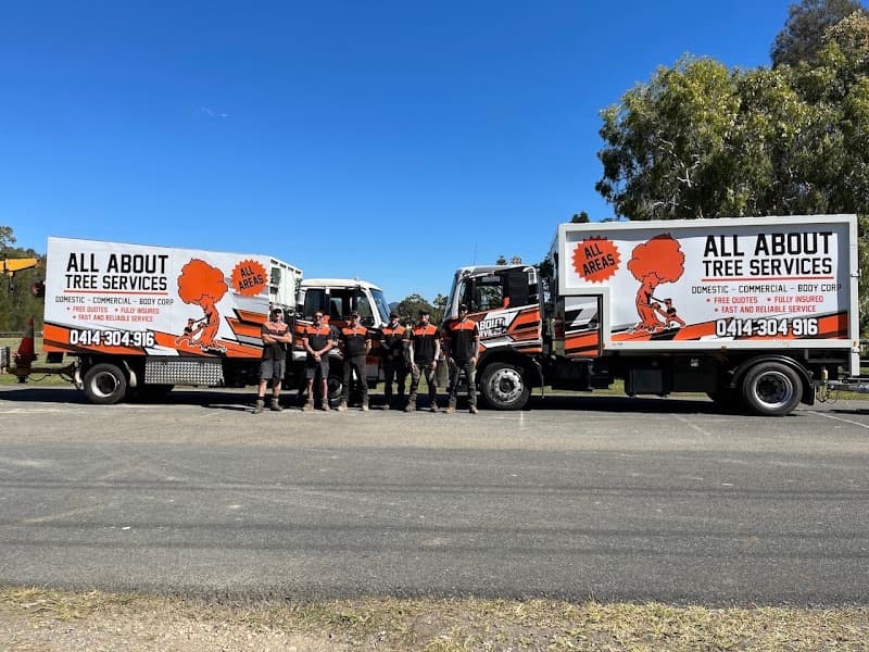 All About Tree Services QLD - Tree & Stump Removal in Elanora, QLD