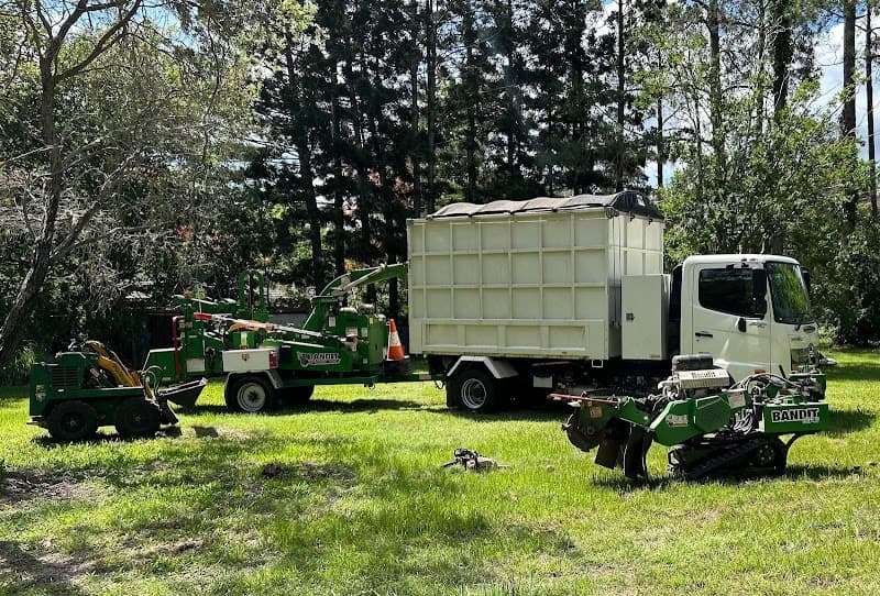 Sustainable Tree Care