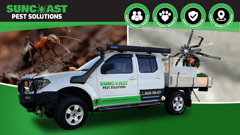 Suncoast Pest Solutions - Pest Control in Little Mountain, QLD