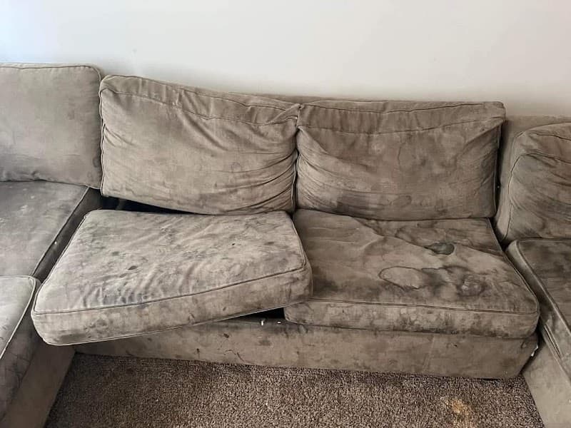 Sparkle Carpet Cleaning - Carpet Cleaners in Rothwell, QLD