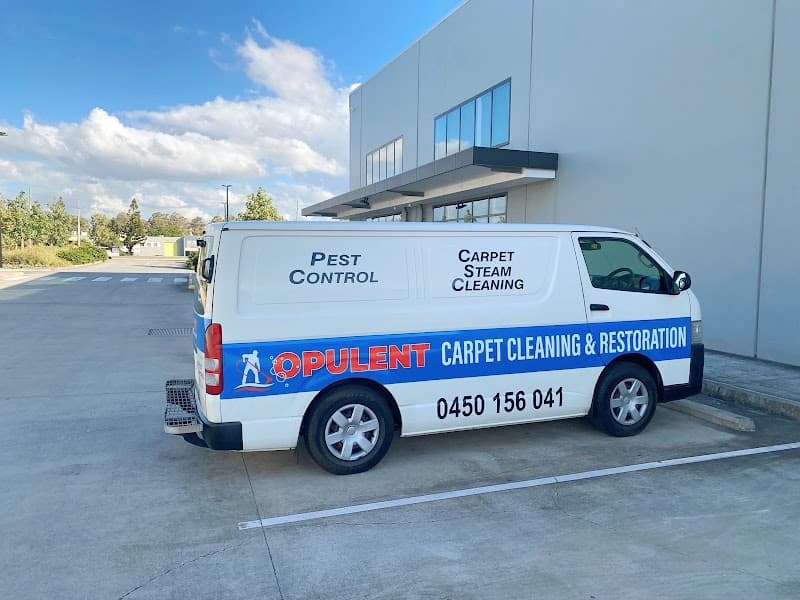 Opulent Carpet Cleaning - Carpet Cleaners in Hawthorne, QLD