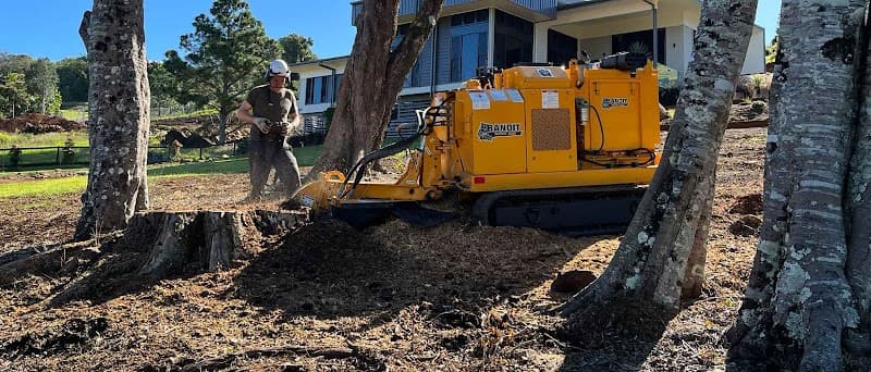 Stanley's Tree Stump Removal - Tree & Stump Removal in Burleigh Heads, QLD