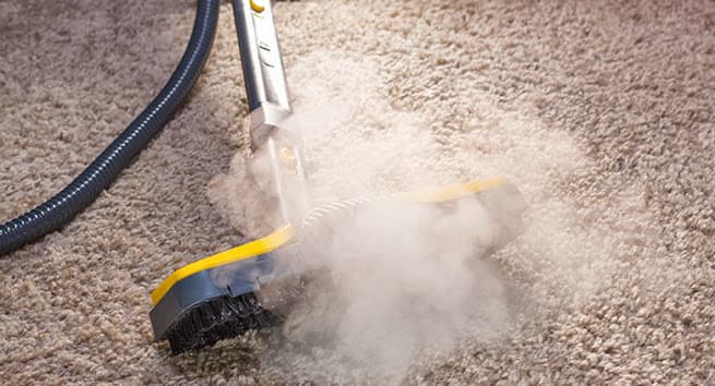 Terry's Steam Cleaning Brisbane