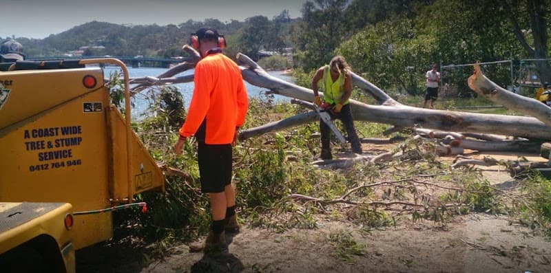 A Coastwide Tree & Stump Service - Tree & Stump Removal in Palm Beach, QLD