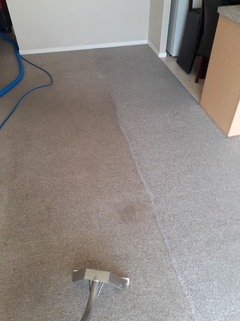 Kleener Karpets - Carpet Cleaners in Mudgeeraba, QLD