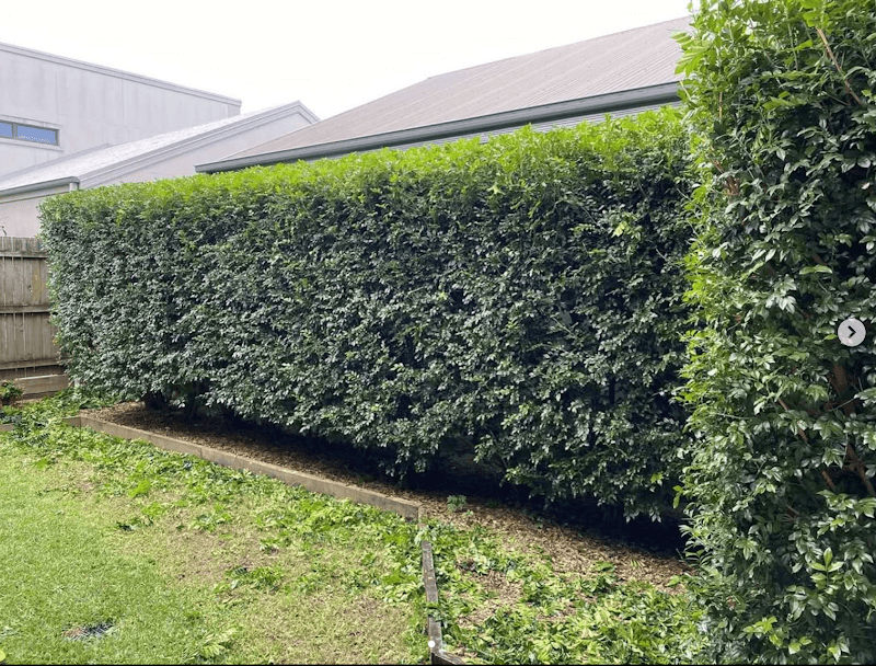 SEQ Landscaping and Garden Maintenance - Tarragindi, QLD