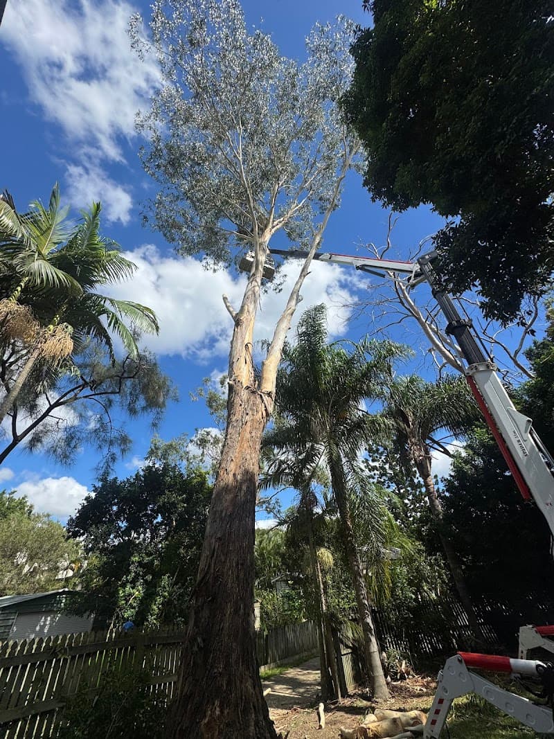 Brisbane Yard
