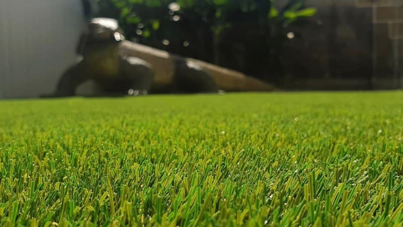 Grass That Lasts | Artificial Grass Gold Coast - Gardeners in Elanora, QLD