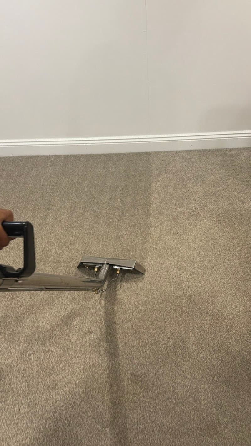 CLEAN4AUSSIE PTY LTD - Cleaners in Calamvale, QLD
