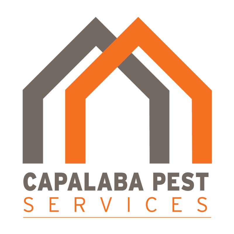 Capalaba Pest Services