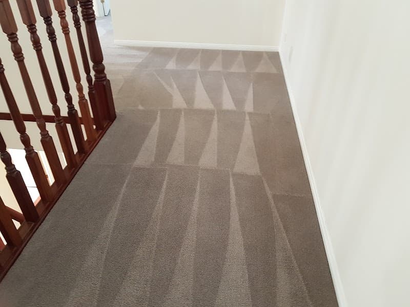 Carpet Cleaning & Pest Control Springfield Lakes