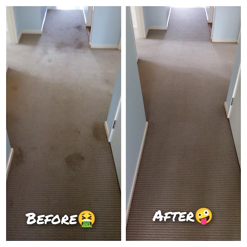 Coolum Home Services