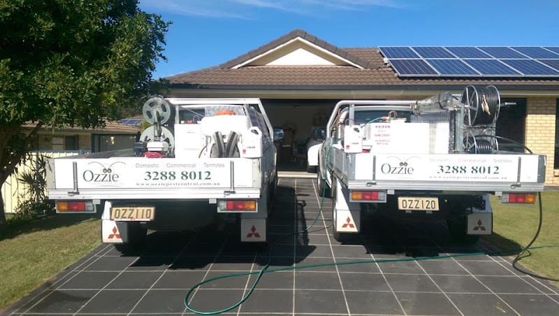 Ozzie Pest Control & Solar Clean