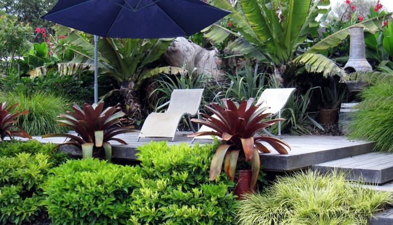 Trimscapes Landscaping Brisbane - Gardeners in Lutwyche, QLD