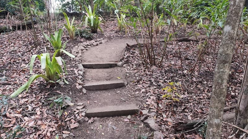 Refined Gardens and Landscaping - Gardeners in Narangba, QLD
