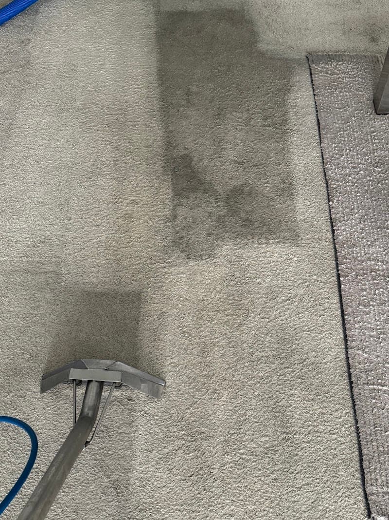 Broadbeach Carpet Cleaning - Carpet Cleaners in Broadbeach, QLD