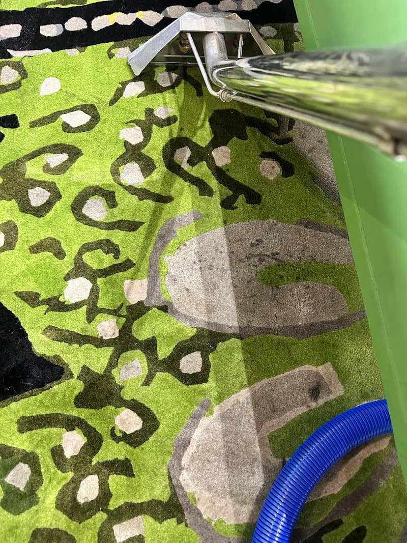 Top Clean Specialist Pty Ltd - Carpet Cleaners in Waterford, QLD