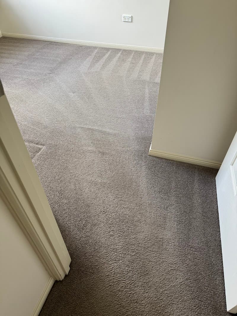 Carpestology - Carpet Cleaners in Camp Hill, QLD