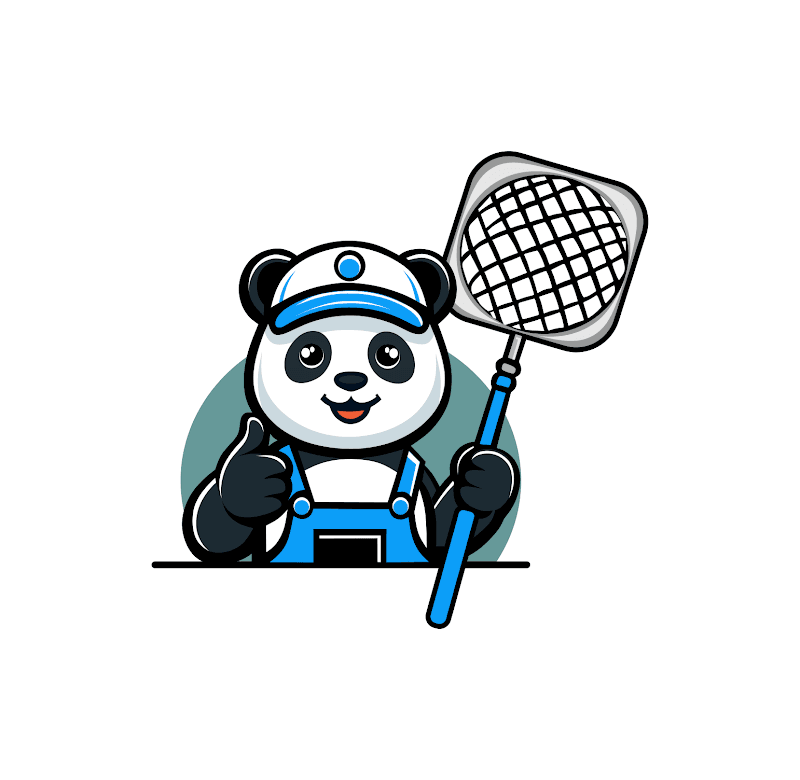 Coomera Pool Cleaning Service