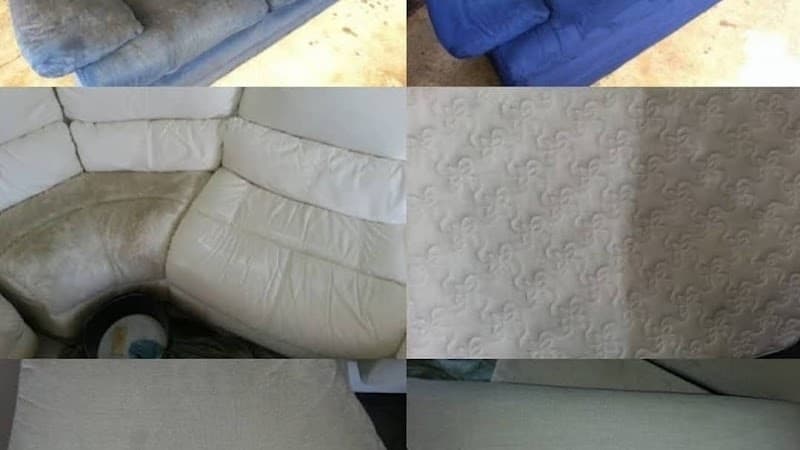 Ezydry Carpet Cleaning - Carpet Cleaners in Bulimba, QLD
