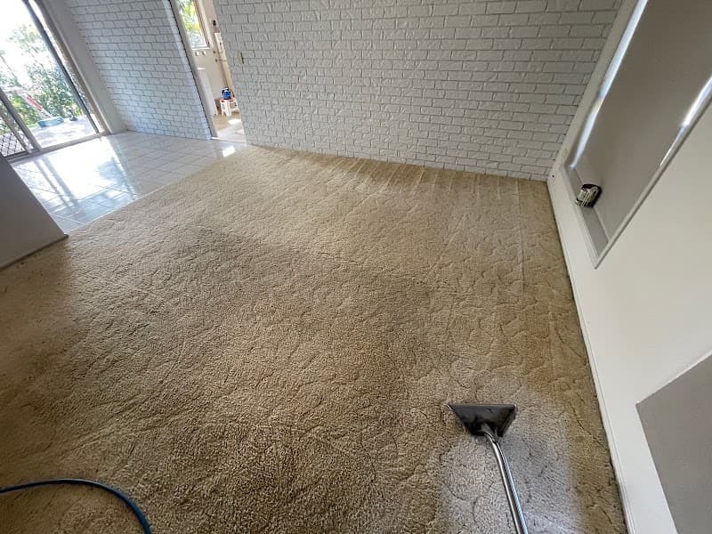 Carpet Ninja and Pest Control Gold Coast - Carpet Cleaners in Surfers Paradise, QLD