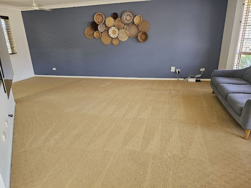 Brisbane Commercial Cleaning and Pest Control