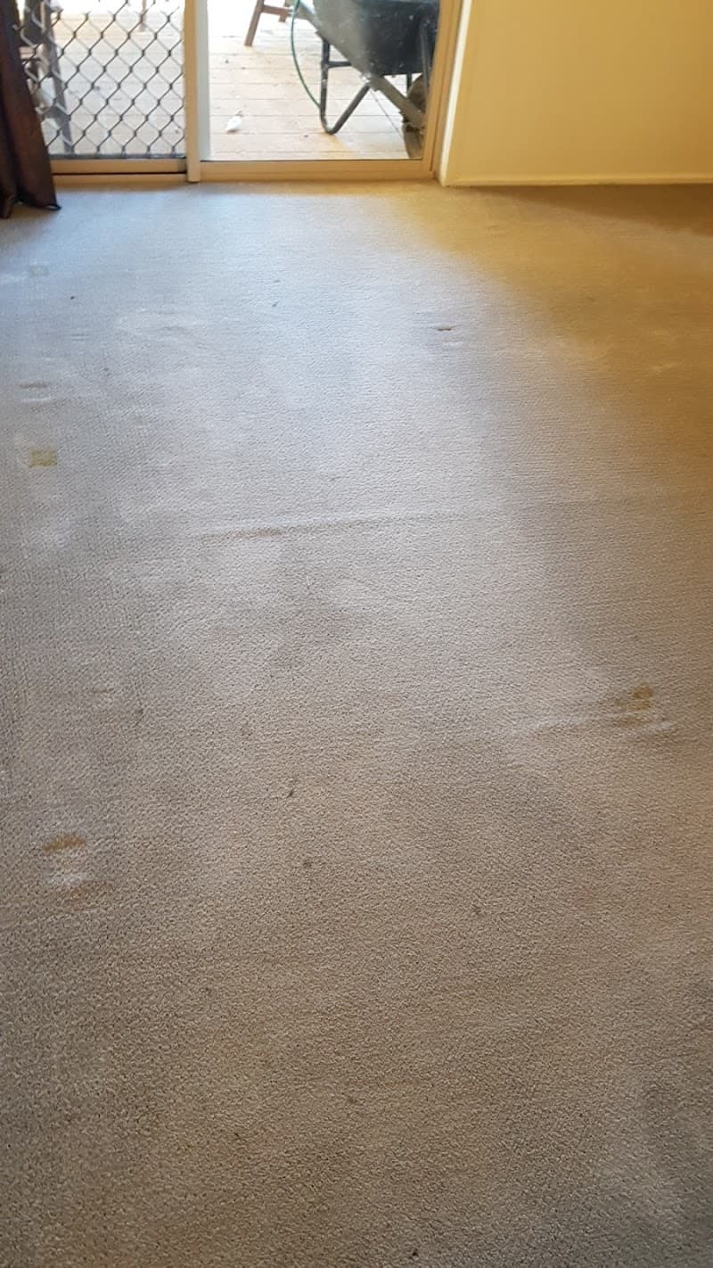 Carpet Cleaning Heroes - Carpet Cleaners in Wavell Heights, QLD