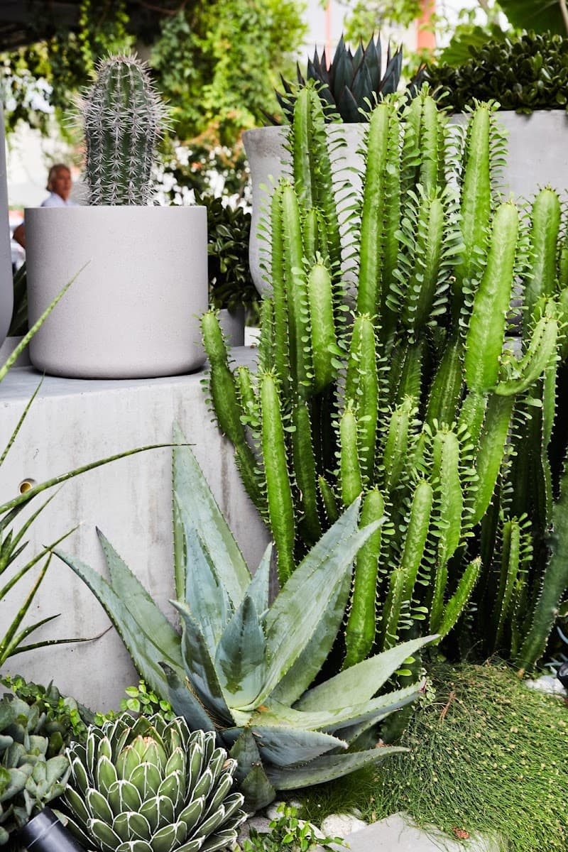 The Green Landscapes and Design - Gardeners in Fortitude Valley, QLD