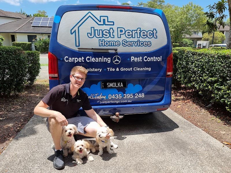 Just Perfect Home Services Carpet Cleaning