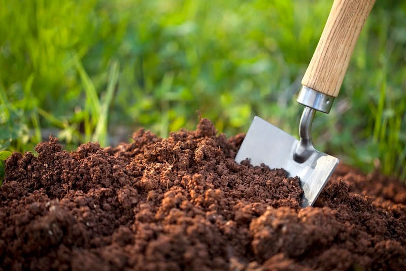 Currumbin Garden Centre Landscaping Supplies - Gardeners in Currumbin Waters, QLD