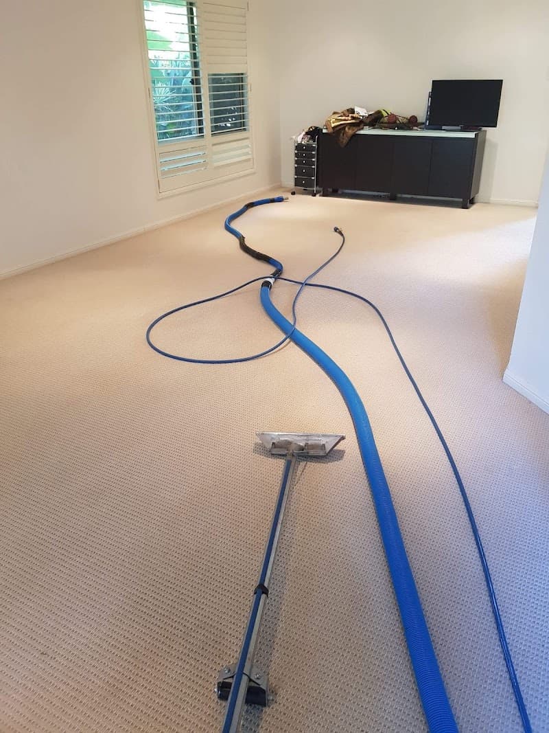 Daro's carpet cleaning &bond cleaning. Pest control & Brisbane &Logan&chermside - Carpet Cleaners in Parkinson, QLD