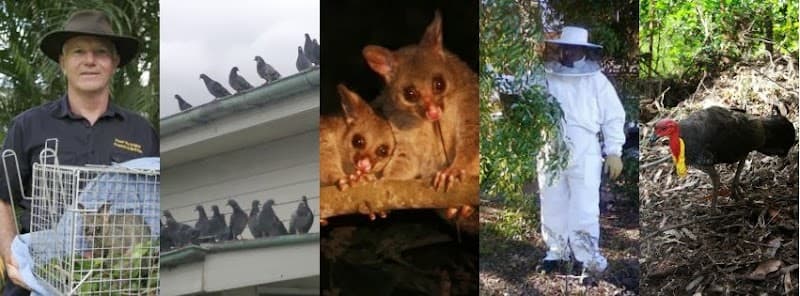 Peter the Possum Man