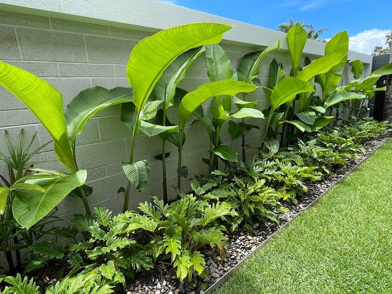 DCM Landscaping