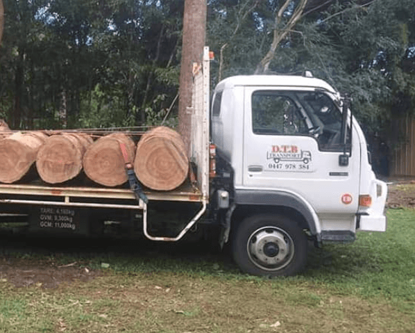 Tom Thumb Tree Works