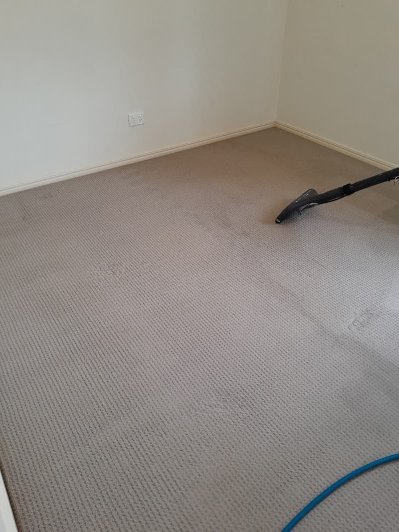 George carpet and pest control Ipswich - Carpet Cleaners in Deebing Heights, QLD