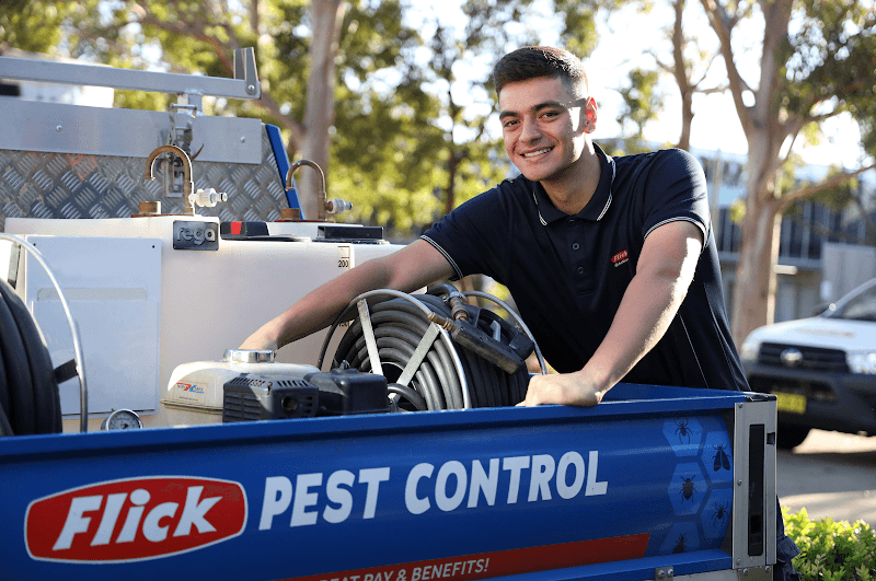 Flick Pest Control Capalaba - Capalaba, QLD