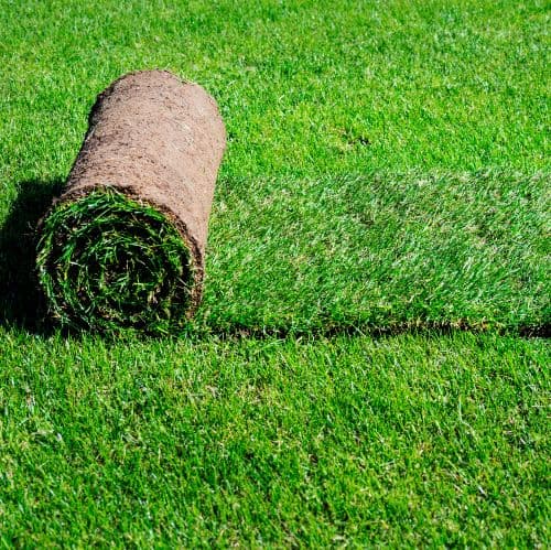 Budget Landscaping and Supplies - Gardeners in Brendale, QLD