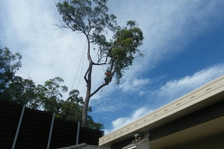 Lumberjack QLD Pty Ltd