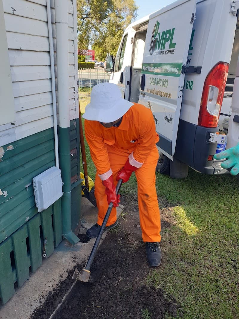 Greater Springfield Pest Control - Pest Control in Springfield Lakes, QLD