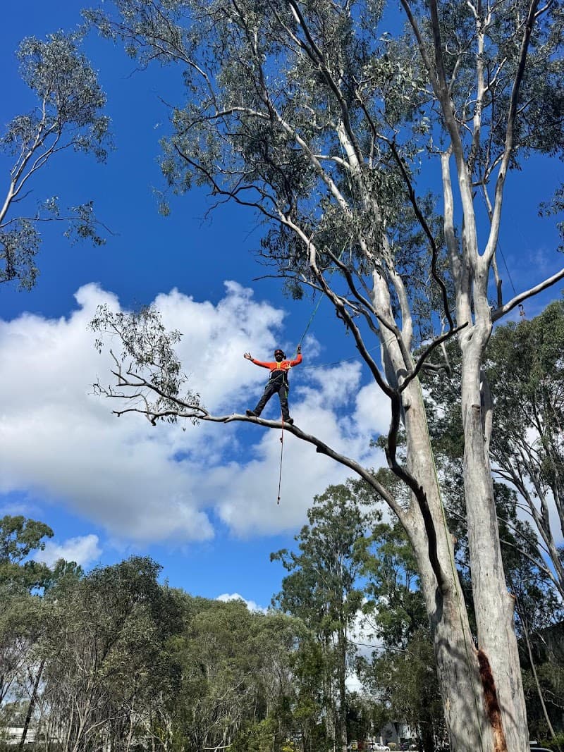 T-Rex tree services